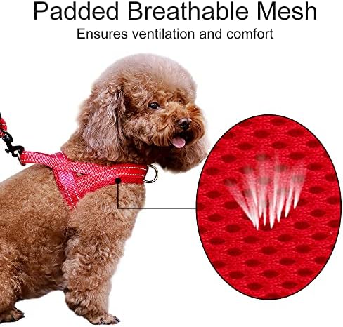 Plutus Pet No Pull Dog Harness for Small Dogs, Breathable Mesh Padded - Image 3