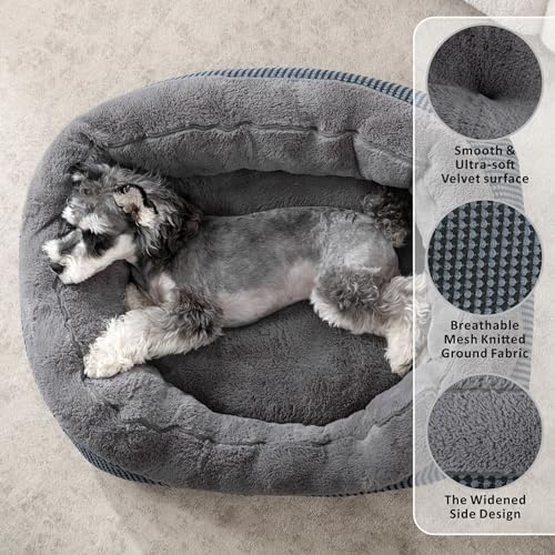 INVENHO Small Dog Bed for Small Dogs, Cat Beds for Indoor Cats Washable - Image 2