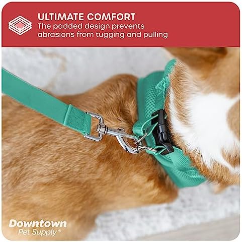 Downtown Pet Supply Step in Dog Harness - Image 6