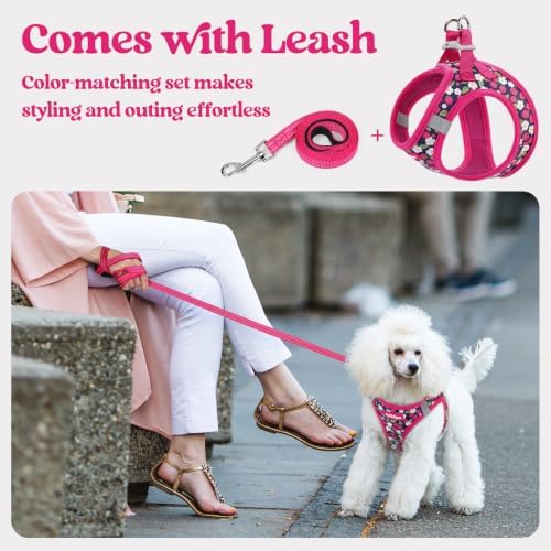 rabbitgoo Dog Harness Medium Sized and Leash Set, Step-in Puppy Pet Vest - Image 6
