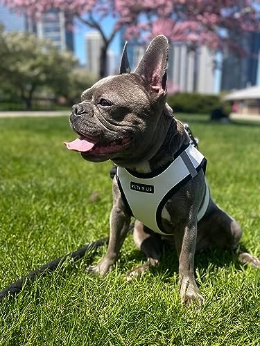 Step-in Dog Harness Classic Style Dog Vegan Leather Reflective Details - Image 5