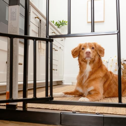 Carlson 29–36.5” Extra Wide Dog Gate - Image 4