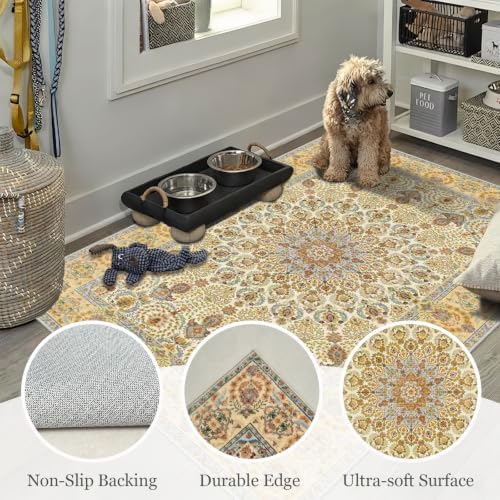 Washable 3x5 Indoor Rug Soft Ultra-Thin Oriental Traditional Distressed Rug - Image 7