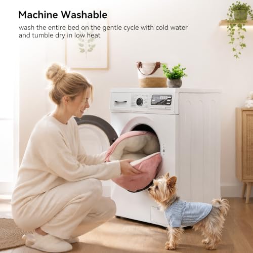 Asvin Medium Dog Bed for Medium Dogs, Cat Beds for Indoor Cats, Pet Bed for - Image 5