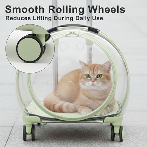 Transparent Hard Shell Cat Carrier - Image 4