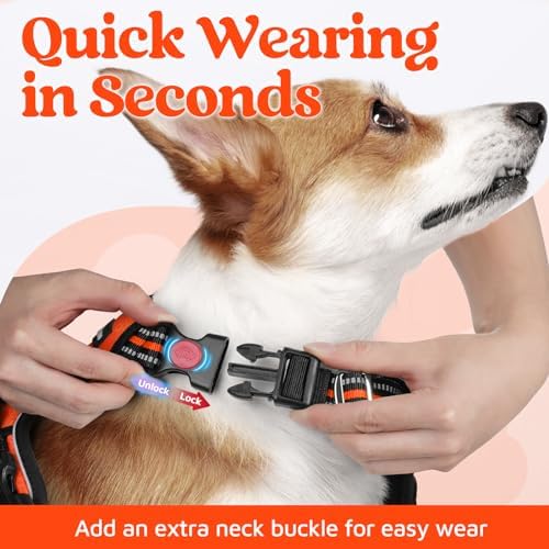 rabbitgoo Dog Harness for Large, No Pull 3 Buckles Easy On & Off - Image 2