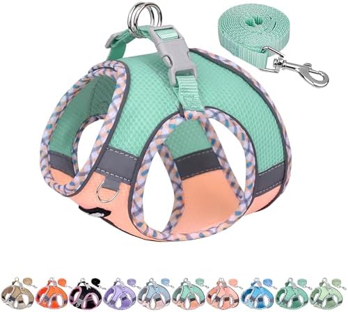 AIITLE Dog Harness Small Sized and Leash Set, Turquoise-Pink XXXS by AIITLE-FORPETSBETTERLIFE