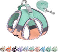 AIITLE XXS Dog Harness & Leash by AIITLE-FORPETSBETTERLIFE
