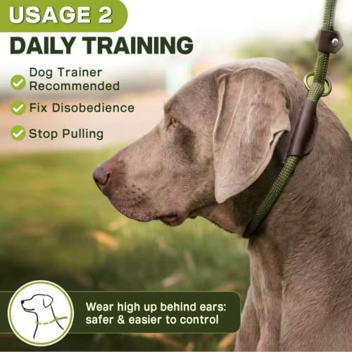 Fida Durable Slip Lead Dog Leash, 6 FT x 3/8" Dog Training Leash - Image 5