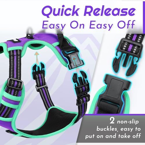 Eagloo Dog Harness for Small Dogs, No Pull Pet Vest - Image 6