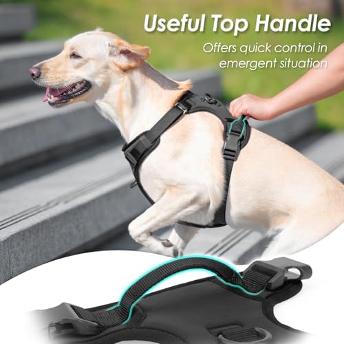 Sunraymascota No Pull Dog Harness - Image 4