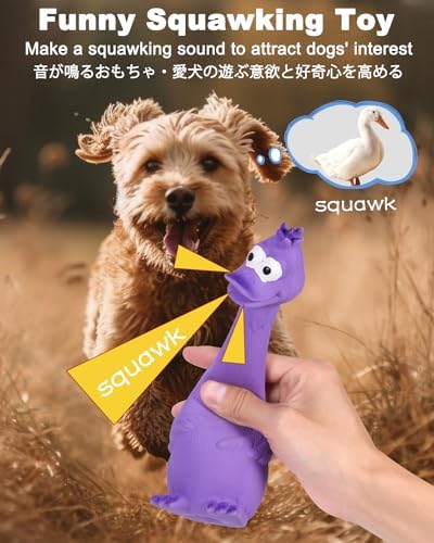 SCHITEC Squeaky Dog Toys, Squawking Latex Toy - Image 2
