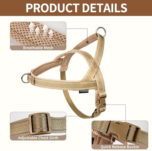 No Pull Dog Harness & 5FT Leash Set - Image 2