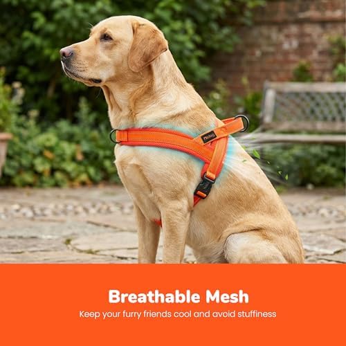 Didog No Pull Dog Harness for Large Dogs, Breathable Mesh Padded - Image 2