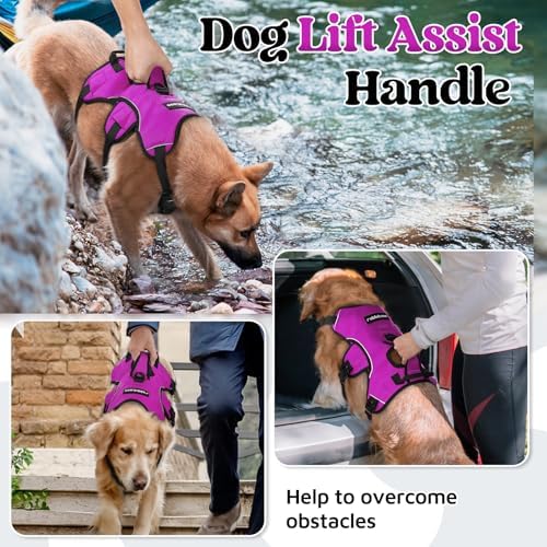 rabbitgoo Escape Proof Dog Harness - Image 3