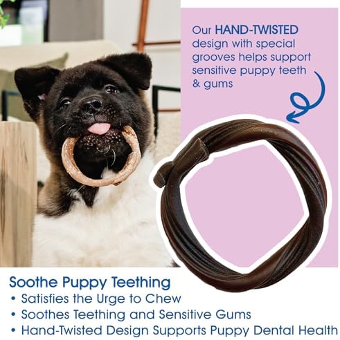 N-Bone Puppy Teething Rings, Taste of Texas Burnt Ends Flavor, Natural Puppy - Image 6