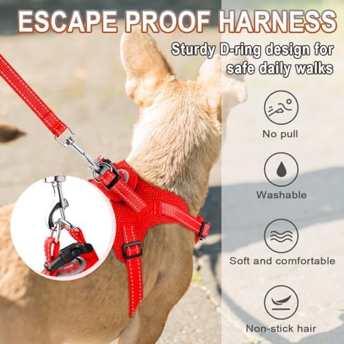 BARKBAY Small Dog Harness, No Pull Puppy Harness, Step-in Dog Vest - Image 4