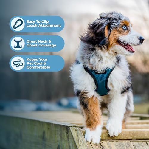 Voyager Step-in Lock Dog Harness - Image 3
