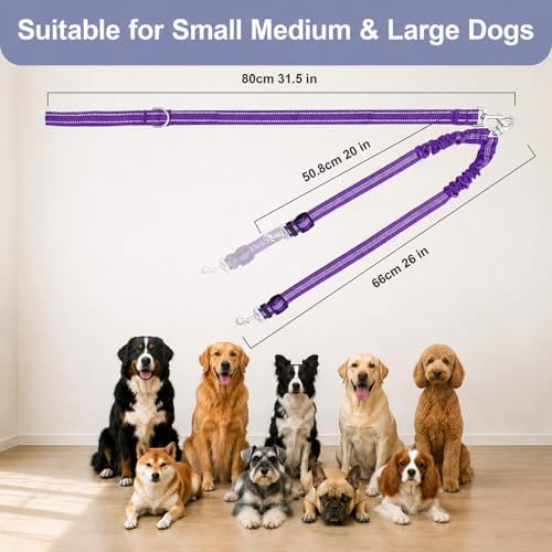 Double Dog Leash Padded Handle 360°Swivel No Tangle Dual Leash - Image 7