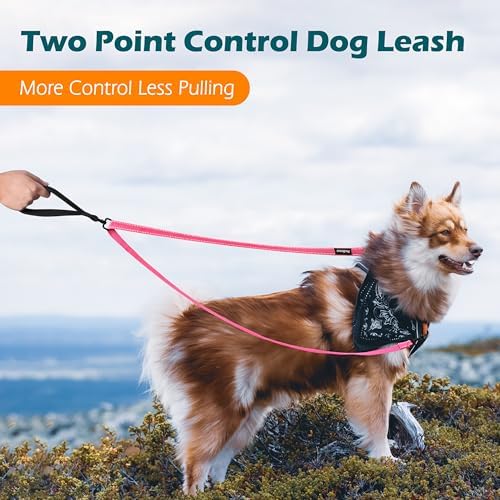 PetBonus Two Point Control Dog Leash, No Tangle Training Walking Leashes - Image 2