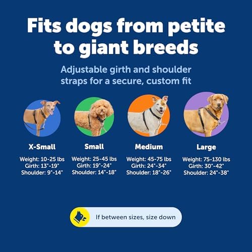 PetSafe 3 in 1 No-Pull Dog Harness - Image 5