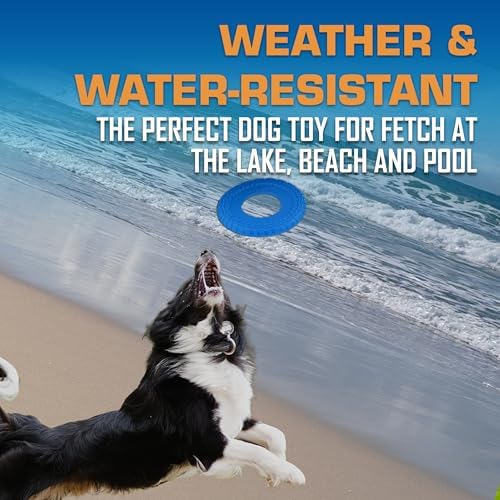 Nerf Dog Tire Flyer Outdoor Dog Toy, 10 Inch Flying Disc Dog Fetch Toy - Image 4