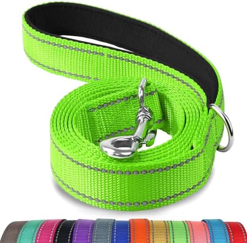 Joytale Reflective Dog Leash for Medium & Large Dogs, 5 FT x 1" by Joytale