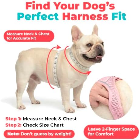 Best Pet Supplies Voyager Step-in Air Harness - Image 6