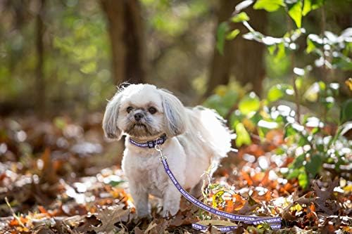 Baltimore Ravens Satin Leash - Image 4