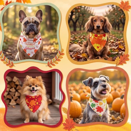 Preboun 100 Pcs Fall Thanksgiving Dog Bandanas Bulk, Pumpkin & Maple Leaves - Image 4