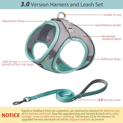 AIITLE Dog Harness and Leash Set, Step-in Puppy Pet Vest, Turquoise L - Image 4