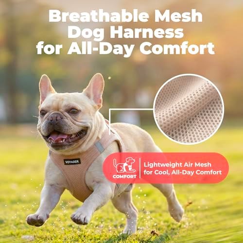 Voyager Step-in Air Dog Vest Harness - Image 5