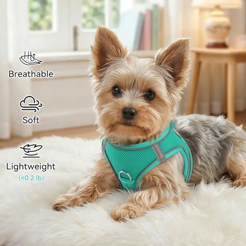 Joytale Step-in Dog Harness, Soft Breathable Mesh, Teal S - Image 4