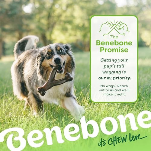 Benebone 2-Pack Wishbone Chew Toy - Image 6