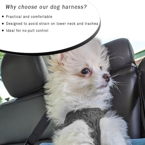Comfort fit Step-in Dog & Puppy Harness - Image 5