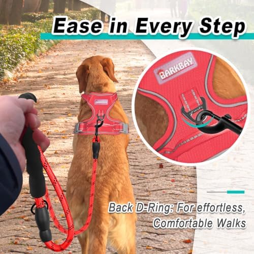 BARKBAY Dog Harness for Medium Sized Dog No Pull Mesh 2 Clips Dog Vest - Image 3
