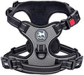 PoyPet No Pull Dog Harness Small by PoyPet