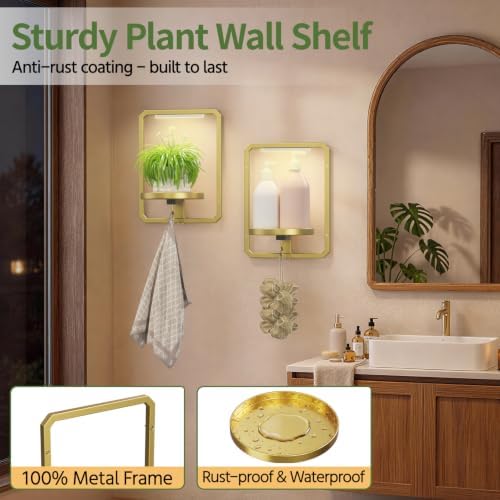 LASZOLA Plant Picture Frame Holder Shelf Wall - Image 6