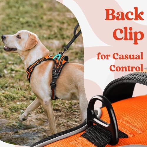 rabbitgoo Dog Harness Medium Sized, Updated Easy On & Off - Image 6