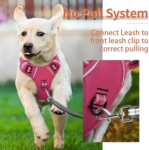 HEELE Dog Harness for Medium Dogs No Pull Dog Vest Harness - Image 4