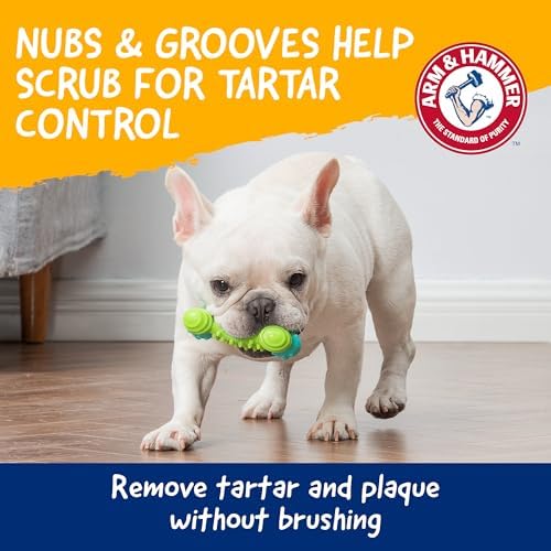 Arm & Hammer Nubbies Duality Bone Dental Dog Chew Toy, Apple Flavor - Image 3