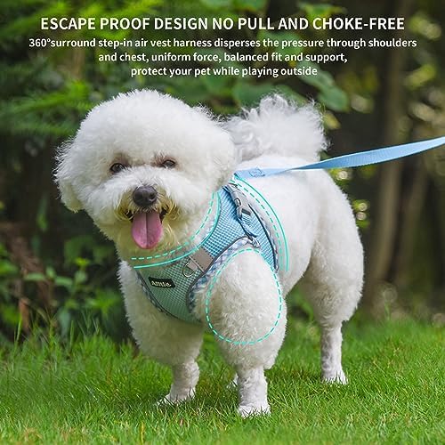 AIITLE Small Dog Harness and Leash Set - Image 3
