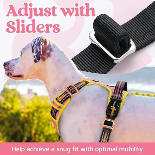 rabbitgoo Dog Harness for Large, No Pull 3 Buckles Easy On & Off - Image 5