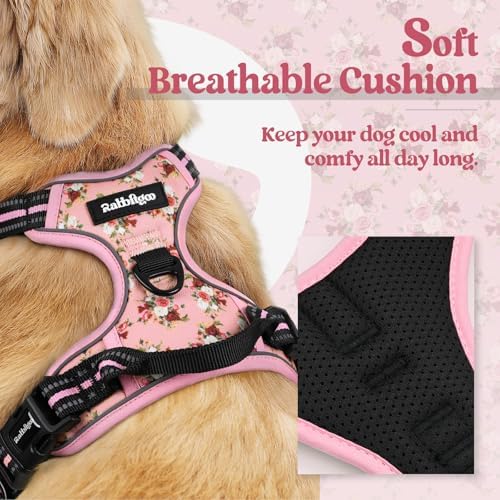 rabbitgoo Dog Harness, No Pull for Small Dogs - Image 2