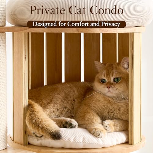 HITTITE Solid Wood Cat Tree Tower - Image 3