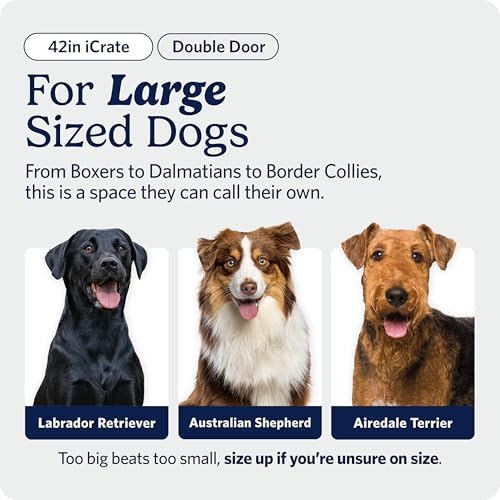 Midwest 42-Inch Double Door iCrate, - Image 2