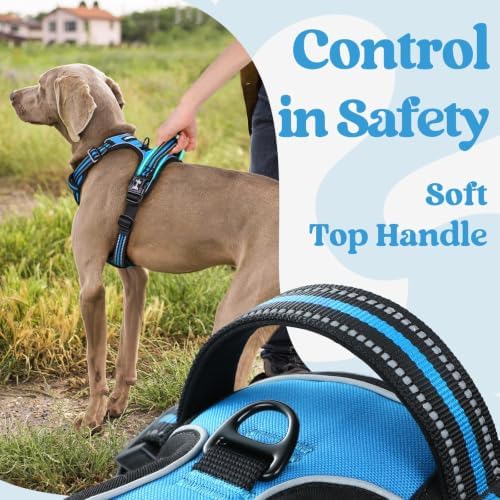 rabbitgoo Dog Harness Medium Sized, Updated Easy On & Off - Image 5