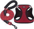 Dog Harness Step-in Breathable Puppy Cat Vest by matilor