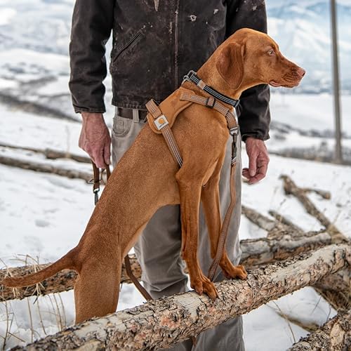 Carhartt Nylon Duck No Pull Dog Harness Port XL - Image 5