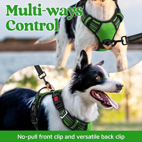 rabbitgoo Dog Harness for Large, No Pull 3 Buckles Easy On & Off - Image 3